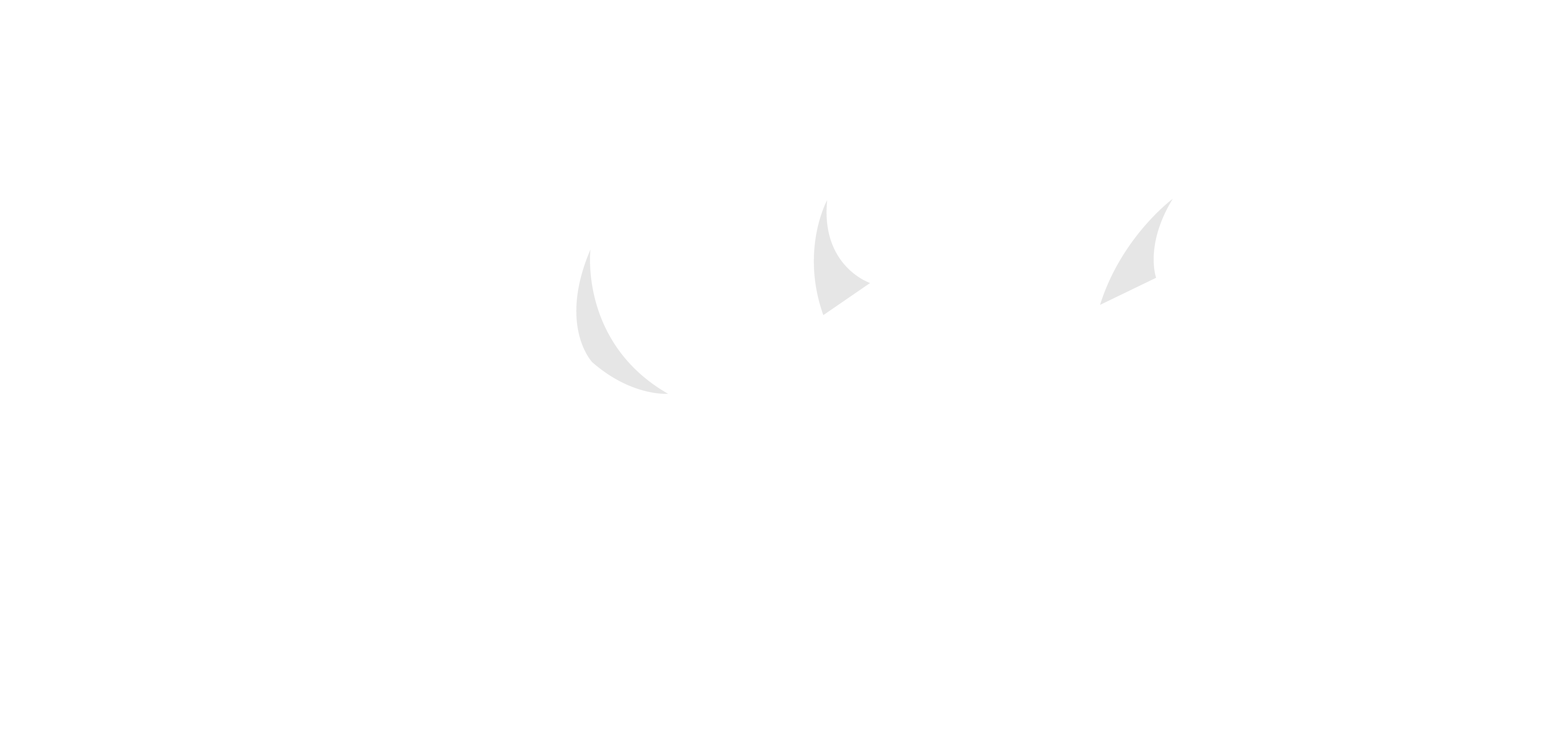 Espero Logo White